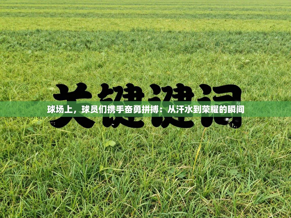球场上,球员们携手奋勇拼搏:从汗水到荣耀的瞬间 第1张
