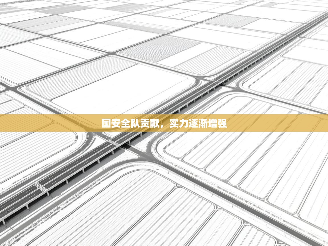 国安全队贡献，实力逐渐增强